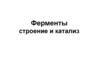 Ферменты строение и катализ