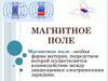 Магнитное поле. Магнитные свойства