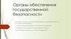 Органы обеспечения государственной безопасности