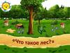 Что такое лес?