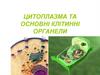 Цитоплазма та основні клітинні органели. Урок 14