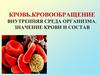 Кровь. Кровообращение. Внутренняя среда организма. Значение крови и состав