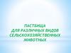 Пастбища для различных видов сельскохозяйственных животных