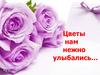 Цветы