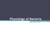 Physiology of Bacteria