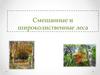 Смешанные и широколиственные леса