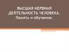 Высшая нервная деятельность человека. Память и обучение