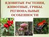 Ядовитые растения, животные, грибы. Региональные особенности