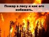 Пожар в лесу и как его избежать