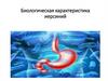 Биологическая характеристика иерсиний