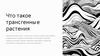 Что такое трансгенные растения?