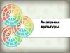 Анатомия культуры