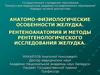 Анатомо-физиологические особенности желудка. Рентеноанатомия и методы рентгенологического