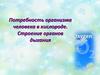 Потребность организма человека в кислороде. Строение органов дыхания