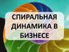 Спиральная динамика в бизнесе