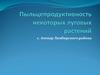 Пыльце-продуктивность некоторых луговых растений