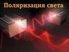 Поляризация света