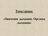 Значение дыхания. Органы дыхания. Легкие и газообмен