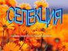 Селекция. Учебное пособие по общей биологии