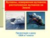 Вулканы, извержения вулканов, расположение вулканов на Земле