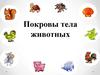 Покровы тела животных