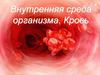 Внутренняя среда организма. Кровь