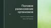Половое размножение организмов