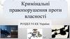 Кримінальні правопорушення проти власності