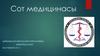 Сот медицинасы