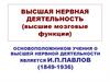 Высшая нервная деятельность (высшие мозговые функции)