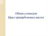Обмен углеводов. Цикл трикарбоновых кислот