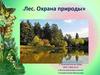 Лес. Охрана природы