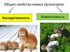 Общие свойства живых организмов