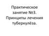 Принципы лечения туберкулёза. Практическое занятие №3