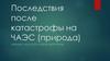 Последствия после катастрофы на ЧАЭС (природа)