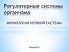 Физиология нервной системы. Лекция №2