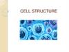 Cell structure