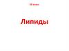 Липиды. Содержание в клетках химических соединений  (10 класс)