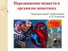 Передвижение веществ в организме животных “Эликсиром жизни” является кровь