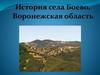История села Боево, Воронежская области