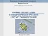 Уровни организации и типы морфологической структуры водорослей