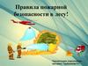 Правила пожарной безопасности в лесу