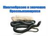 Многообразие и значение Пресмынающихся