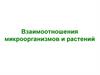 Взаимоотношения микроорганизмов и растений
