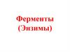 Ферменты (Энзимы)