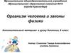 Организм человека и законы физики
