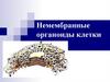 Немембранные органоиды клетки