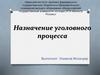 Назначение уголовного процесса