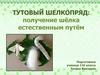Тутовый шелкопряд: получение шёлка естественным путём