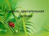 Опорно- двигательная система